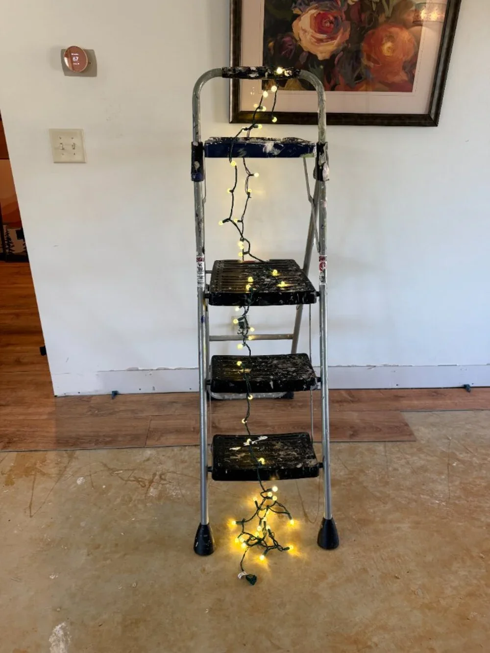 Warm White Globe Christmas String Lights Green Wire Indoor Outdoor